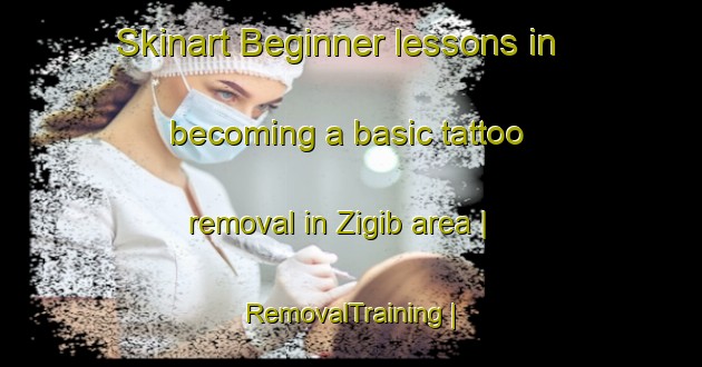 Skinart Beginner lessons in becoming a basic tattoo removal in Zigib area | RemovalTraining | RemovalClasses | SkinartTraining-Eritrea